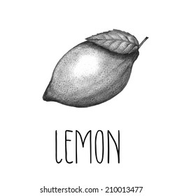 Hand drawn vintage lemon