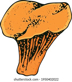 Hand drawn vintage mushrooms. Edible mushrooms vector background. Hand drawn food drawings. Forest plants sketches. Perfect for recipe, menu, label, icon, packaging, Botanical design