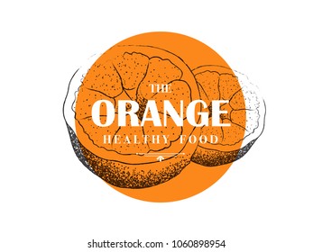 Hand drawn vintage orange icon. Botanical design. Vector illustration.