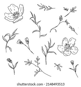 Handgezeichnete Vintage umreißen Blumenelemente mit botanischen Elementen, Blumen, Pflanzen und Blättern. Line Art Floral siegreichen Zweig für Einladung, Gruß, Hochzeit, Logo, Karte, Handwerk.