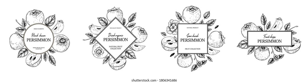 Hand drawn vintage persimmon designs pack. Vector illustration in sketch style.