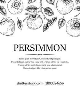 Hand drawn vintage persimmon square design. Vector illustration in sketch style. Place for text