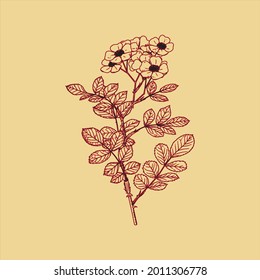 Hand drawn of Vintage plant  It`s perfect for fabrics, t-shirts, mugs, decals, pillows, logo, social media pattern and much more!
