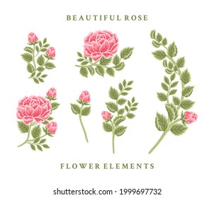 Hand drawn vintage red and pink rose flower vector illustration arrangement, spring and summer bouquet element collection for wedding invitation decoration, women, beauty and feminine products