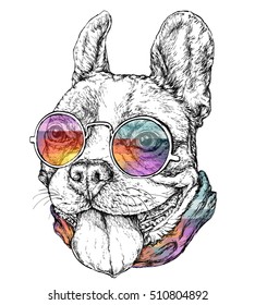 Hand drawn vintage retro hipster style sketch of funny French Bulldog