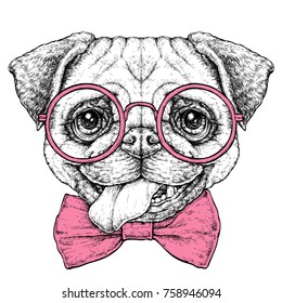Hand drawn vintage retro hipster style sketch of cute funny Pug Dog in glasses. Vector Illustration