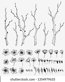 Hand drawn vintage sakura flower and branches illustration set. Botanical graphic element collection for decorations, cards, invitation, prints, posters, tattoo, clothes, t-shirt design.