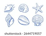 Hand drawn vintage seashell sketches in blue ink