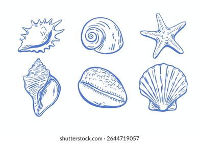 Esboços de concha vintage desenhados à mão em tinta azul