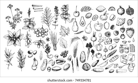 hand drawn vintage set of food: berry, fruits, herbs, nuts