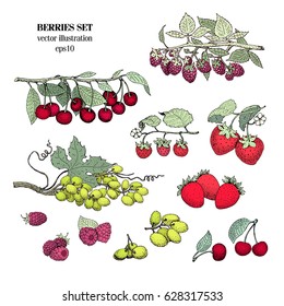 Hand drawn vintage sketch berries set. Vector illustration of eco food. Can be use for background, design, invitation, banner, packaging. Retro image of cherry, raspberry, strawberry, grape