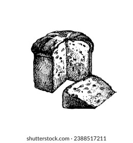 Hand drawn vintage sketch Italian food panettone. Vector illustration 