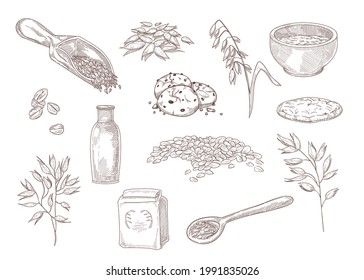 Hand drawn vintage sketch of ways of using oats. Bowl of oatmeal, cereal, cookies, grains in scoop, plants isolated on white background engraved illustrations set. Food, cooking, agriculture concept