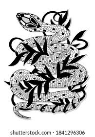 Hand drawn vintage snake with black leaves illustration. Graphic sketch for posters, tattoo, clothes, t-shirt design, pins, patches, badges, stickers.  Traditional Tattoo Old School 