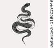 drawn snake