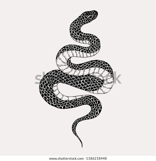 Hand drawn vintage snake illustration. Graphic\
sketch for posters, tattoo, clothes, t-shirt design, pins, patches,\
badges, stickers.