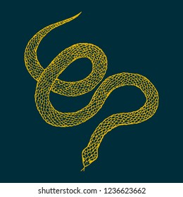 Hand drawn vintage snake, vector illustration. Snake silhouette illustration. Vector tattoo design. Graphic sketch for posters, tattoo, clothes, t-shirt design, pins, patches, badges, stickers.