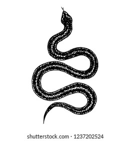 Hand drawn vintage snake, vector  illustration. Snake silhouette illustration. Vector tattoo design. Graphic sketch for posters, tattoo, clothes, t-shirt design, pins, patches, badges, stickers. 