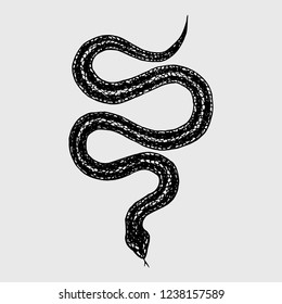 Hand drawn vintage snake, vector  illustration. Snake silhouette illustration. Vector tattoo design. Graphic sketch for posters, tattoo, clothes, t-shirt design, pins, patches, badges, stickers. 