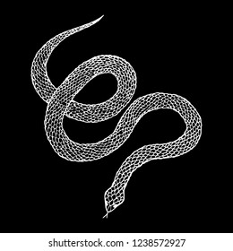 Hand drawn vintage snake, vector  illustration. Snake silhouette illustration. Vector tattoo design. Graphic sketch for posters, tattoo, clothes, t-shirt design, pins, patches, badges, stickers. 