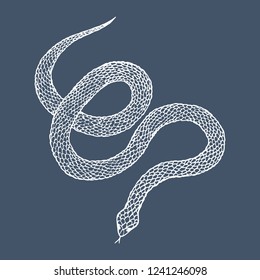 Hand drawn vintage snake, vector  illustration. Snake silhouette illustration. Vector tattoo design. Graphic sketch for posters, tattoo, clothes, t-shirt design, pins, patches, badges, stickers. 