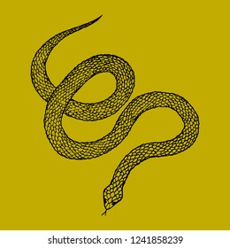 Hand drawn vintage snake, vector illustration. Snake silhouette illustration. Vector tattoo design. Graphic sketch for posters, tattoo, clothes, t-shirt design, pins, patches, badges, stickers.