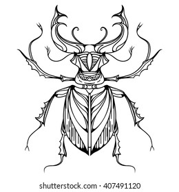 Hand drawn vintage stag beetle. Insect with doodle pattern. Vector element for tattoo sketch, printing on T-shirts, postcards and your design