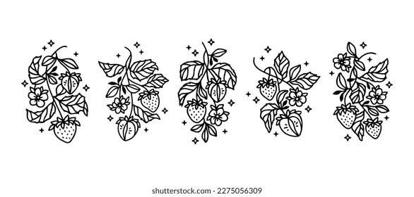 Hand drawn vintage strawberry plant and floral vector line art illustration for logo, brand, organic food products, label, stickers, nature objects