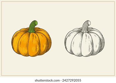 hand drawn vintage style pumpkin