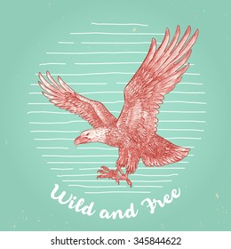 hand drawn vintage style vector eagle flying high