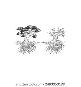 Ilustración de diseño de logotipo de árbol vintage dibujado a mano, logotipo de Bonsai vintage