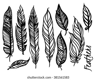 Hand drawn vintage vector decorative feathers.