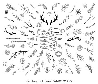 Hand drawn vintage vector design elements.