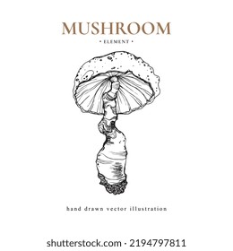 Hand drawn vintage vector illustration with mushroom. Design element for autumn, halloween, harvest, thanksgiving, cosmetics. Can be used for menu, poster, cover, card, invitation.