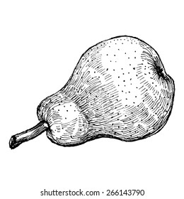 Hand drawn vintage vector illustration of isolated black and white pear on white background