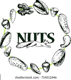 hand drawn vintage vector illustration with nuts in circle frame and squirrel