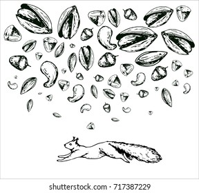 hand drawn vintage vector illustration with nuts, heart and squirrel