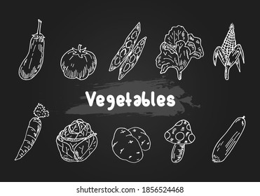 Hand drawn vintage vegetable icons. Doodle drawing veggies of eggplant, tomato, green peas, lettuce, corn, carrot, cabbage, potato, mushroom, cucumber vector illustration.