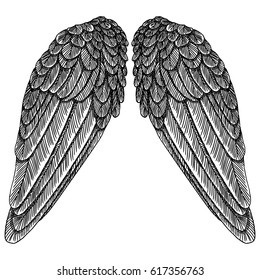 Hand drawn vintage wings pair. Etched woodcut vintage style pair of wing. Sketch vector. 