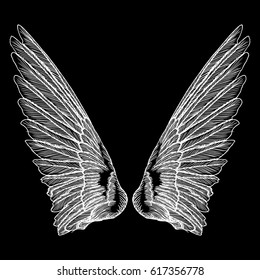 Hand drawn vintage wings pair. Etched woodcut vintage style pair of wing. Sketch vector. 