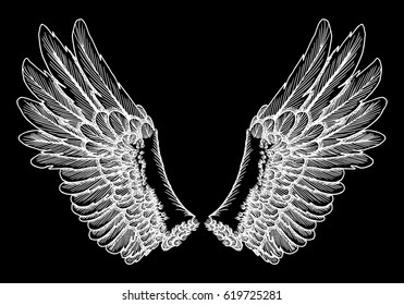 Hand drawn vintage wings pair. Etched woodcut vintage style pair of wing. Sketch vector. 
