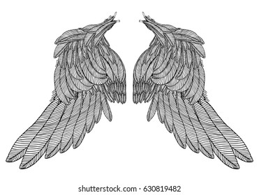 Hand drawn vintage wings pair. Etched woodcut vintage style pair of wing. Sketch vector. 