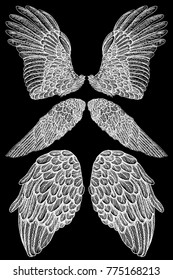 Hand drawn vintage wings set. Sketch collection vector.