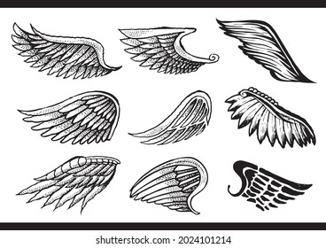 Hand Drawn Vintage Wings Vector