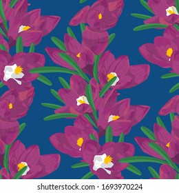 Crocus violeta dibujado a mano, flores sin fisuras de motivos florales. Sobre fondo azul. Ilustración del vector