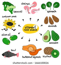Hand drawn vitamin E ( tocopherol) main food sources: almonds, avocado, trout, sunflower seeds. Vector illustration is for pharmalogical or medical poster, flyer, dietary supplement.