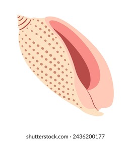 Hand drawn Volute Seashell. Cartoon style flat illustration seashell isolated on white background. Vector illustration