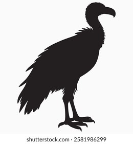 Hand drawn vulture bird silhouette