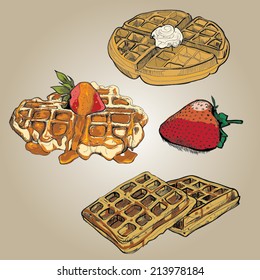 Hand drawn of waffles set with strawberry. Vector illustration.