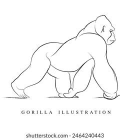 Hand drawn walking Gorilla, Gorilla vector line art, An illustration of wild animal